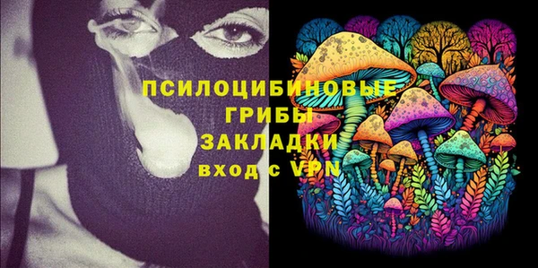 шишки Армянск