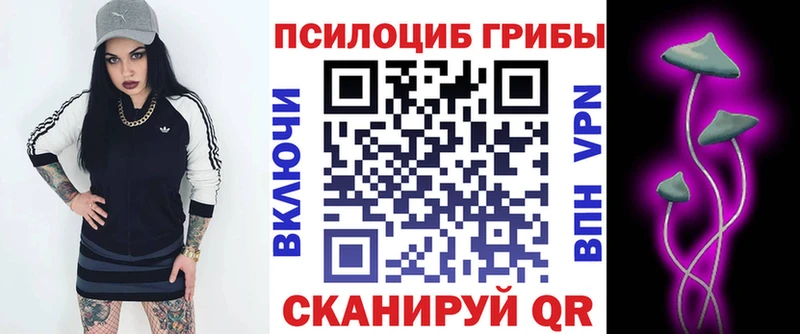 Псилоцибиновые грибы Psilocybine cubensis  Сальск 