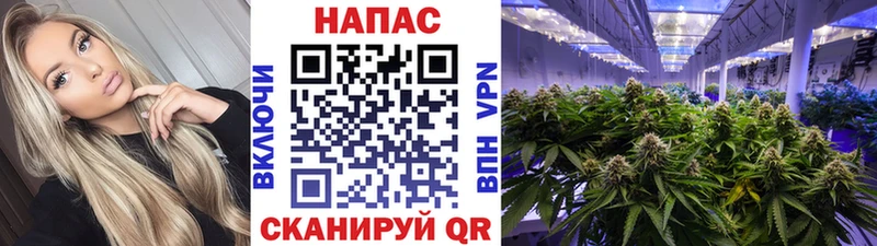 Бошки Шишки VHQ  даркнет наркотические препараты  Сальск 